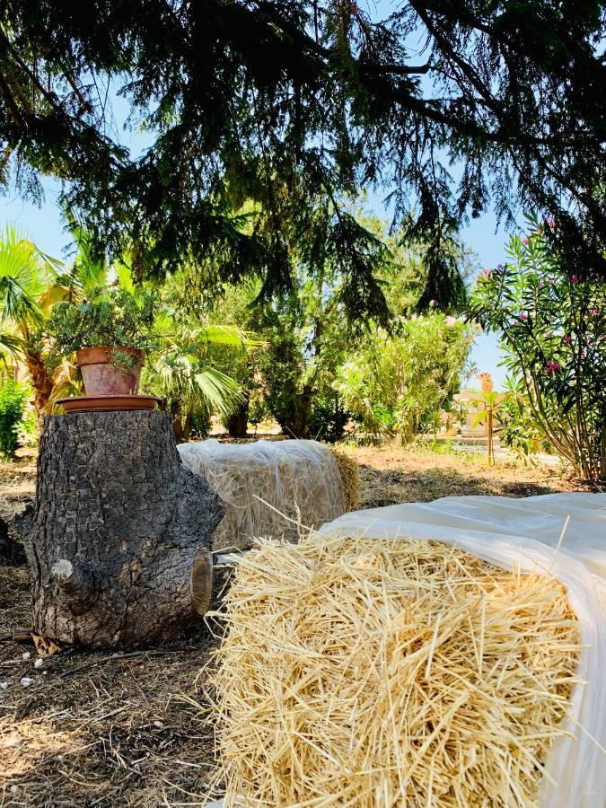 Trulli Pietra Viva Villa Alberobello Esterno foto